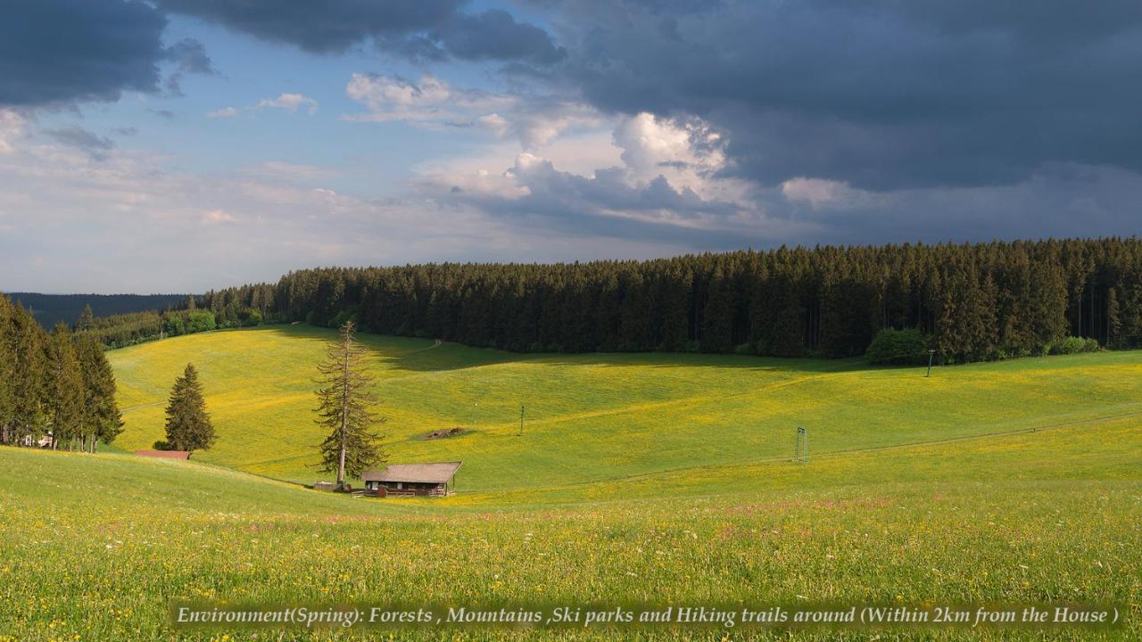 Entire House In Schwarzwald With Mountain View, Private Sauna, Gym, Garden And Terraces Unterkirnach Extérieur photo