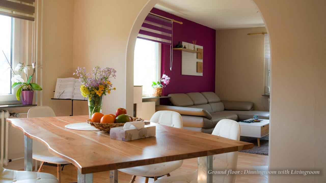 Entire House In Schwarzwald With Mountain View, Private Sauna, Gym, Garden And Terraces Unterkirnach Extérieur photo