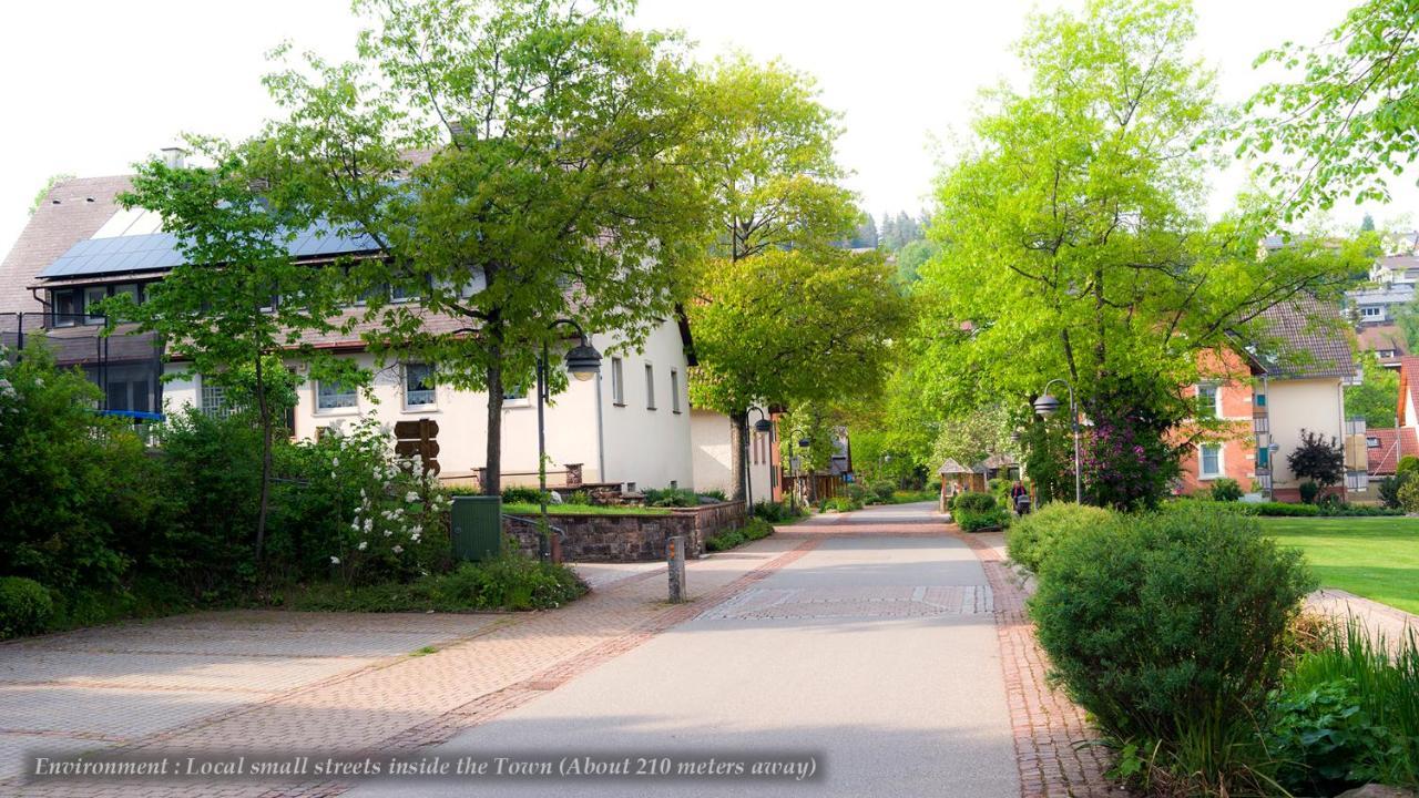 Entire House In Schwarzwald With Mountain View, Private Sauna, Gym, Garden And Terraces Unterkirnach Extérieur photo