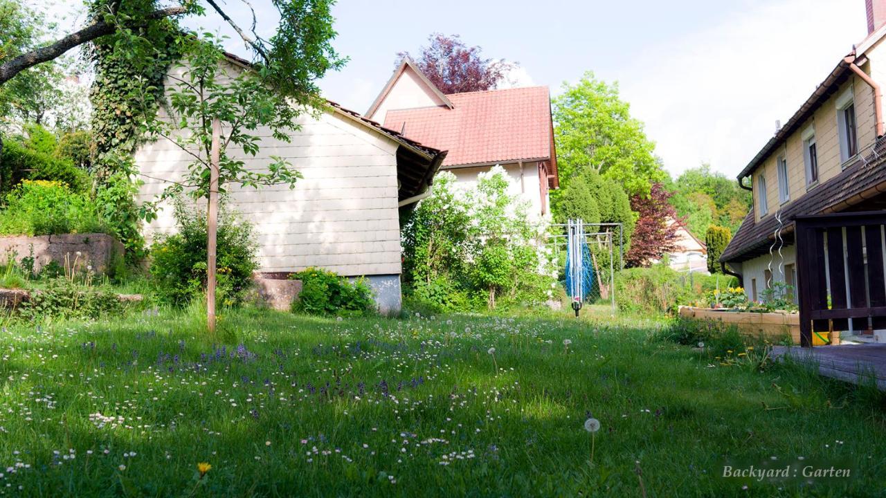 Entire House In Schwarzwald With Mountain View, Private Sauna, Gym, Garden And Terraces Unterkirnach Extérieur photo