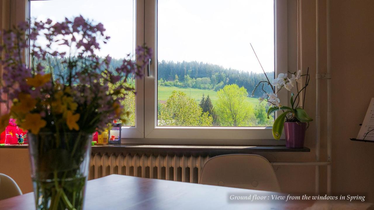 Entire House In Schwarzwald With Mountain View, Private Sauna, Gym, Garden And Terraces Unterkirnach Extérieur photo